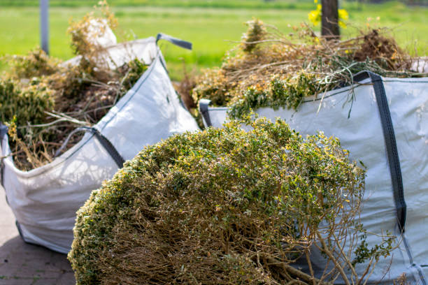 Best Trash Removal Near Me  in Homer, MI