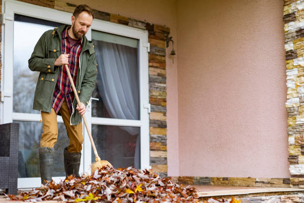 Best Professional Junk Removal  in Homer, MI